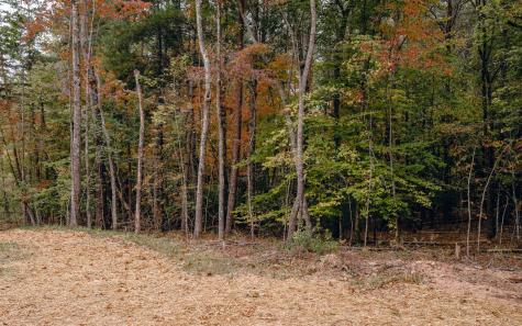 Alamo Trail Morganton GA 30560