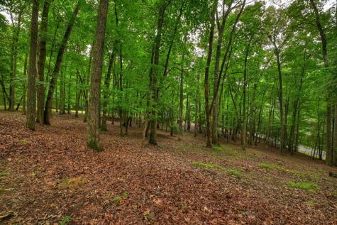 101 W D Court Ellijay GA 30540