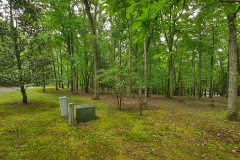 101 W D Court Ellijay GA 30540