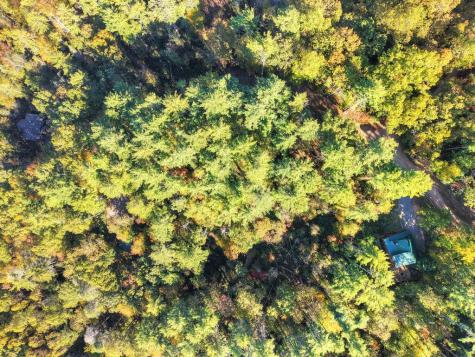 Lot 123 Bell Camp Ridge Road Blue Ridge GA 30513