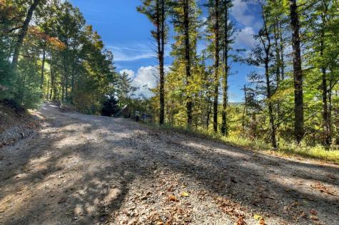 Lot 123 Bell Camp Ridge Road Blue Ridge GA 30513