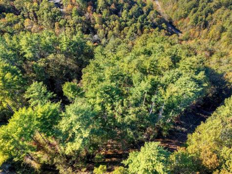 Lot 123 Bell Camp Ridge Road Blue Ridge GA 30513