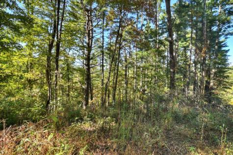 Lot 123 Bell Camp Ridge Road Blue Ridge GA 30513