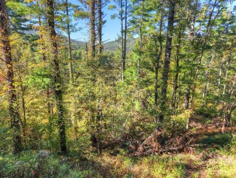 Lot 123 Bell Camp Ridge Road Blue Ridge GA 30513