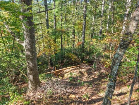 Lot 123 Bell Camp Ridge Road Blue Ridge GA 30513