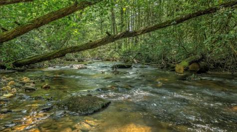 70 Stanley Creek Cross Blue Ridge GA 30513