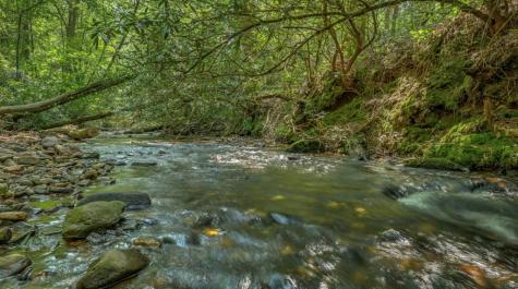 70 Stanley Creek Cross Blue Ridge GA 30513
