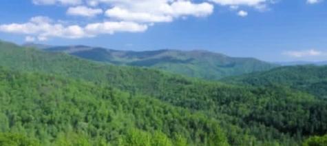 39 Moon Howler Drive Murphy NC 20906