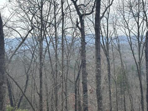 39 Moon Howler Drive Murphy NC 20906
