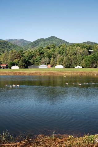 360 Serenity Lane Hayesville NC 28904