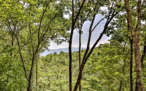 20 Trails End Knoll Ellijay GA 30540