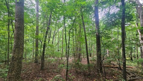 90 Quail Way Jasper GA 30143