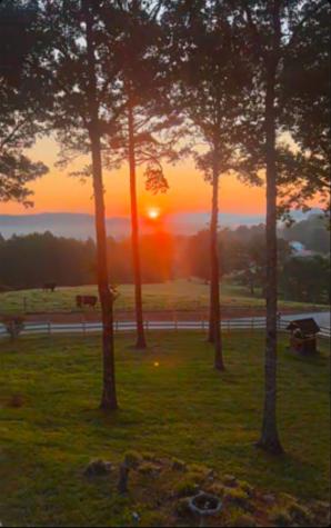 401 Emerine Road Blairsville GA 30512