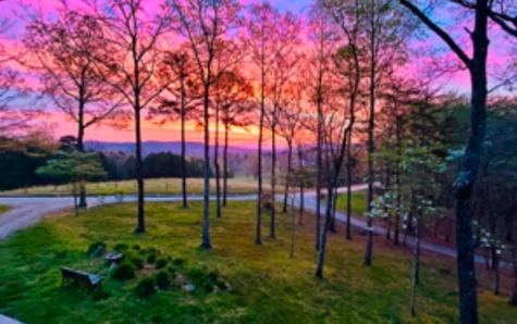 401 Emerine Road Blairsville GA 30512