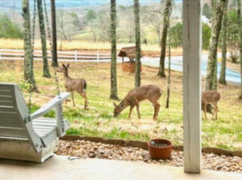 401 Emerine Road Blairsville GA 30512