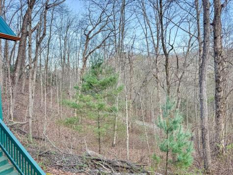 157 Frontier Drive Hayesville NC 28904