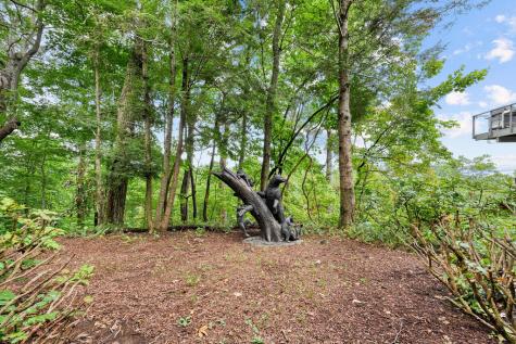 202 Sanderlin Mountain Drive Big Canoe GA 30143