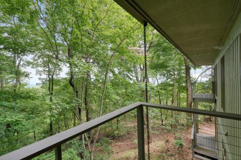 202 Sanderlin Mountain Drive Big Canoe GA 30143