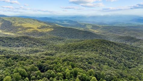 202 Sanderlin Mountain Drive Big Canoe GA 30143