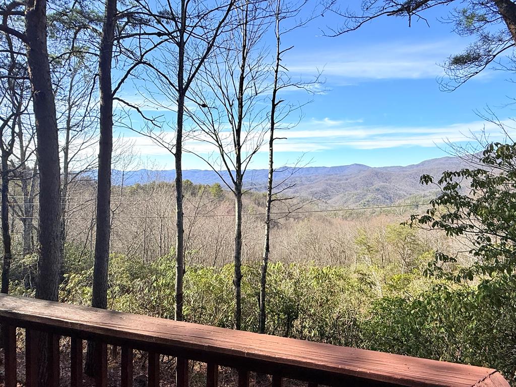 38 Blue Berry Hill Andrews NC 28901