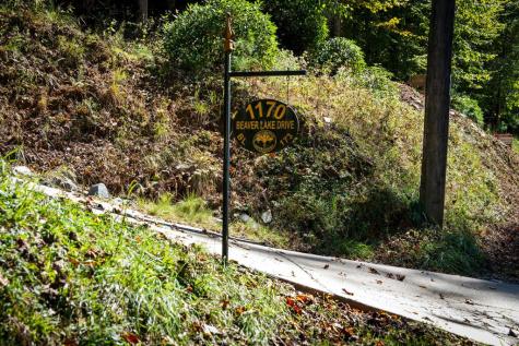 1170 Beaver Lake Drive Ellijay GA 30540