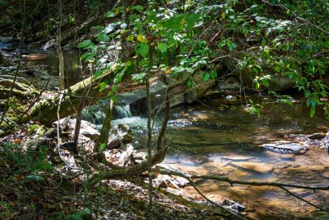 1170 Beaver Lake Drive Ellijay GA 30540