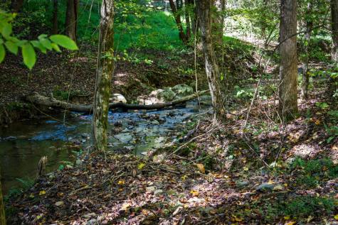 1170 Beaver Lake Drive Ellijay GA 30540