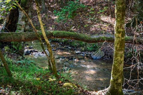 1170 Beaver Lake Drive Ellijay GA 30540