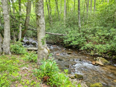 180 Dream Catcher Cove Hayesville NC 28904
