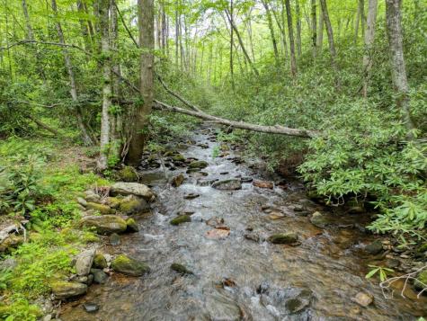 180 Dream Catcher Cove Hayesville NC 28904