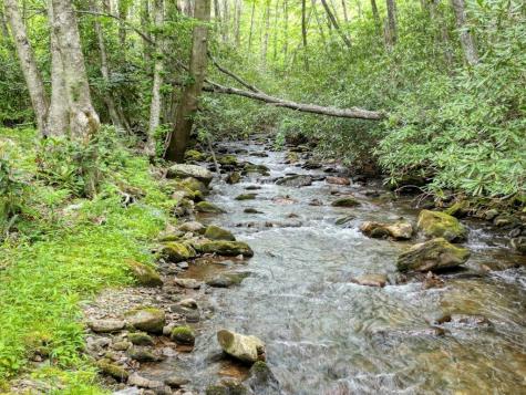 180 Dream Catcher Cove Hayesville NC 28904