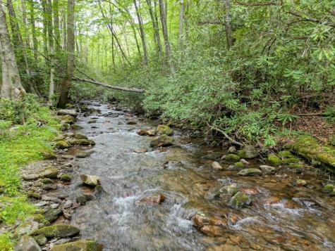 180 Dream Catcher Cove Hayesville NC 28904