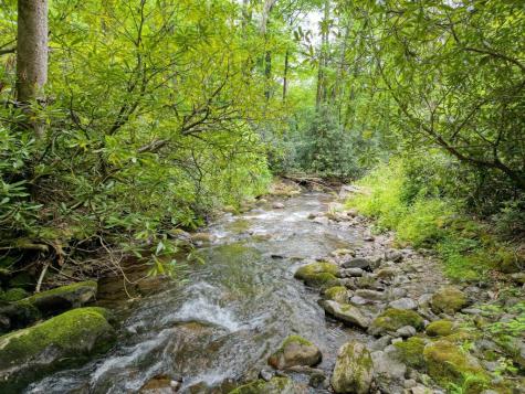 180 Dream Catcher Cove Hayesville NC 28904