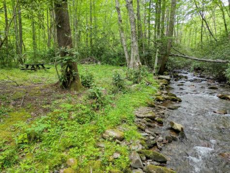 180 Dream Catcher Cove Hayesville NC 28904