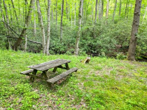 180 Dream Catcher Cove Hayesville NC 28904