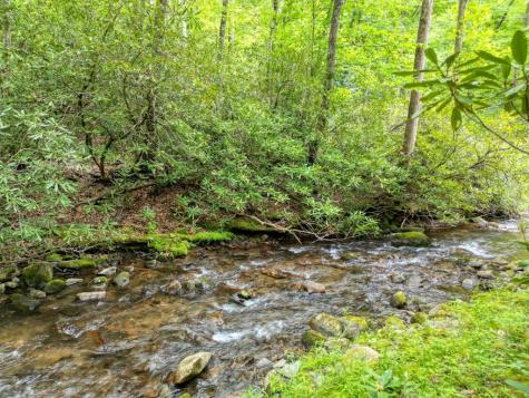 180 Dream Catcher Cove Hayesville NC 28904