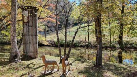 2197 Pope Road Hiawassee GA 30546