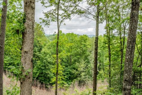 1095 Lonesome Pine Road Murphy NC 28906