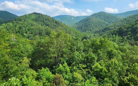 2517 Road 9999 Hiawassee GA 30546
