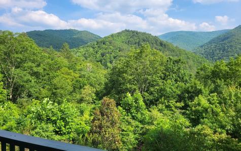 2517 Road 9999 Hiawassee GA 30546