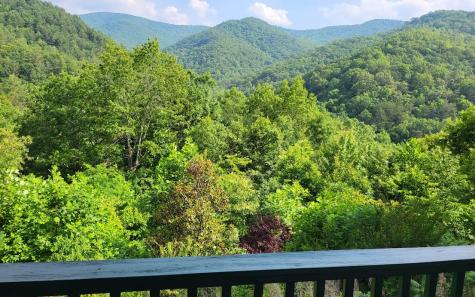 2517 Road 9999 Hiawassee GA 30546