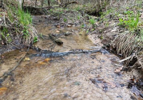 25 Gold Nugget Lane Blairsville GA 30512