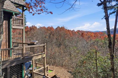 31 The Kings Court Cherry Log GA 30522