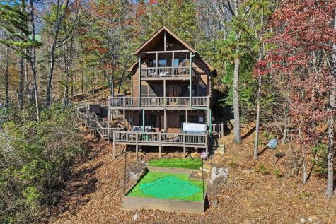 31 The Kings Court Cherry Log GA 30522