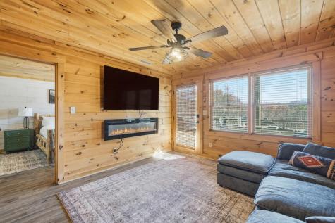 31 The Kings Court Cherry Log GA 30522