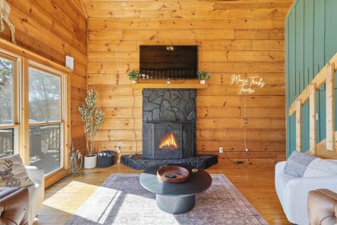 31 The Kings Court Cherry Log GA 30522