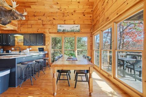 31 The Kings Court Cherry Log GA 30522