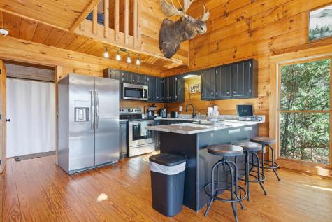 31 The Kings Court Cherry Log GA 30522