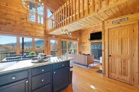 31 The Kings Court Cherry Log GA 30522