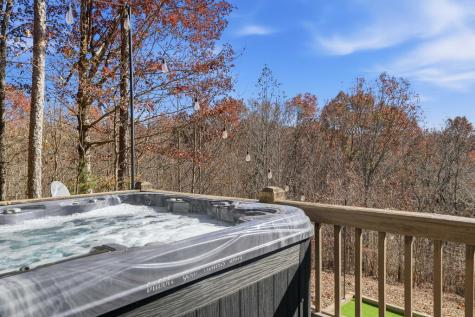 31 The Kings Court Cherry Log GA 30522